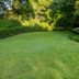 Get Rid of Lawn Weeds For Good With These 12 Tips
