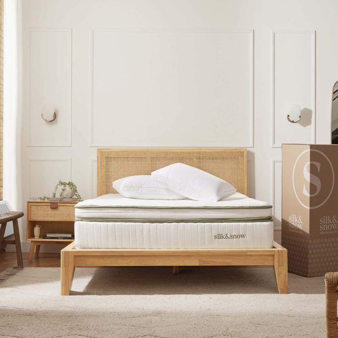 Organic Mattress Plush 1 20240304 B
