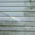 10 Tips For Removing Mold and Mildew Before It Becomes a Problem