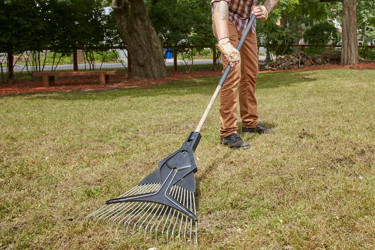 man using rake on lawn