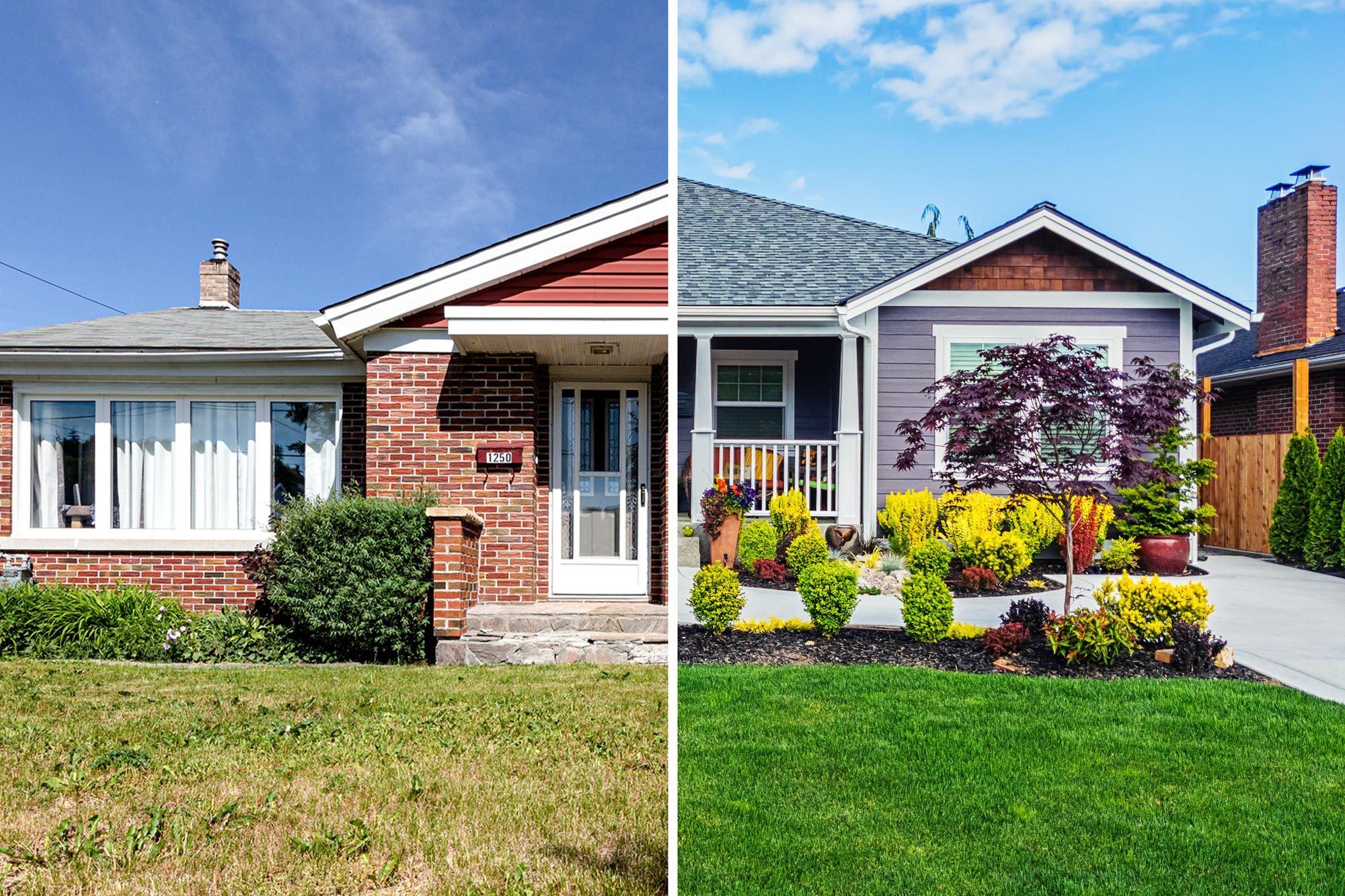 Why Is My Neighbor’s Lawn Greener Than Mine?
